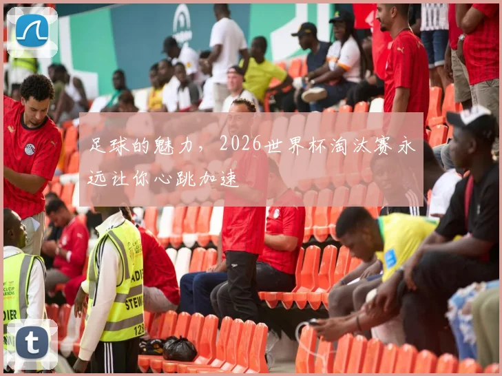 足球的魅力,2026世界杯淘汰赛永远让你心跳加速
