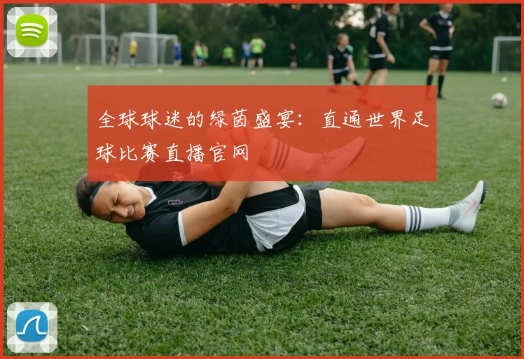 全球球迷的绿茵盛宴:直通世界足球比赛直播官网