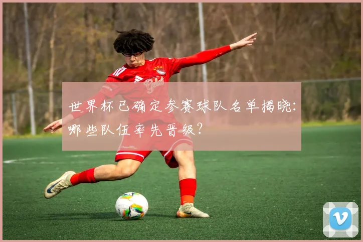 世界杯已确定参赛球队名单揭晓：哪些队伍率先晋级？